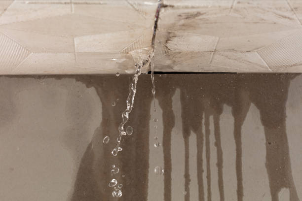 Professional Sewage Cleanup technician working in Mendon, MA
